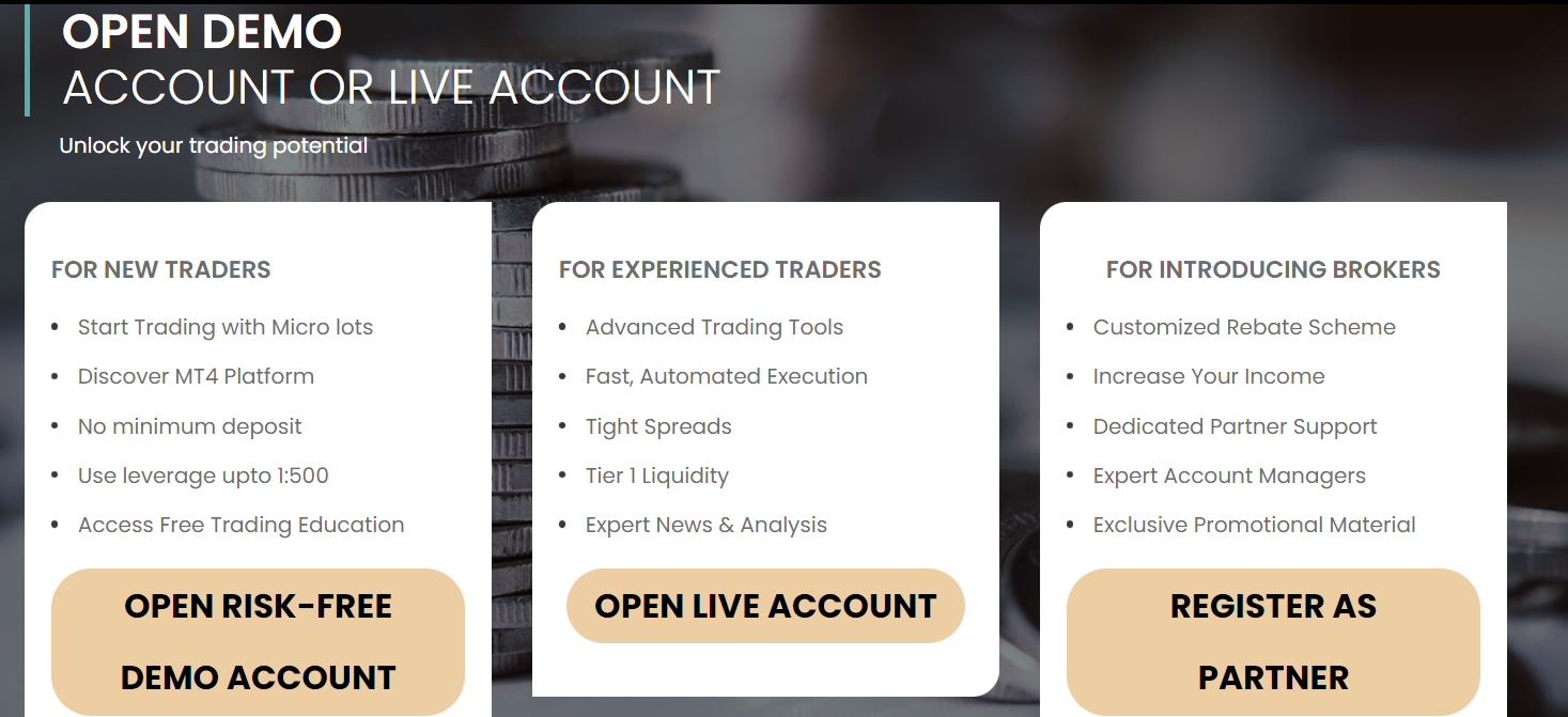 Que fournit First Finance FX?