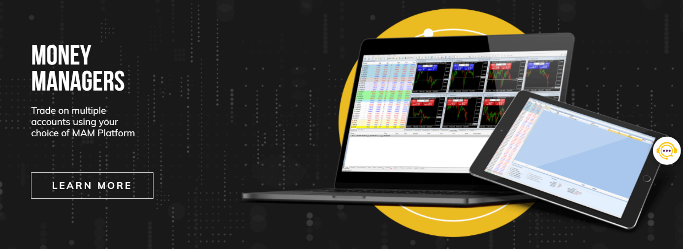 Plateforme de trading OneRoyal