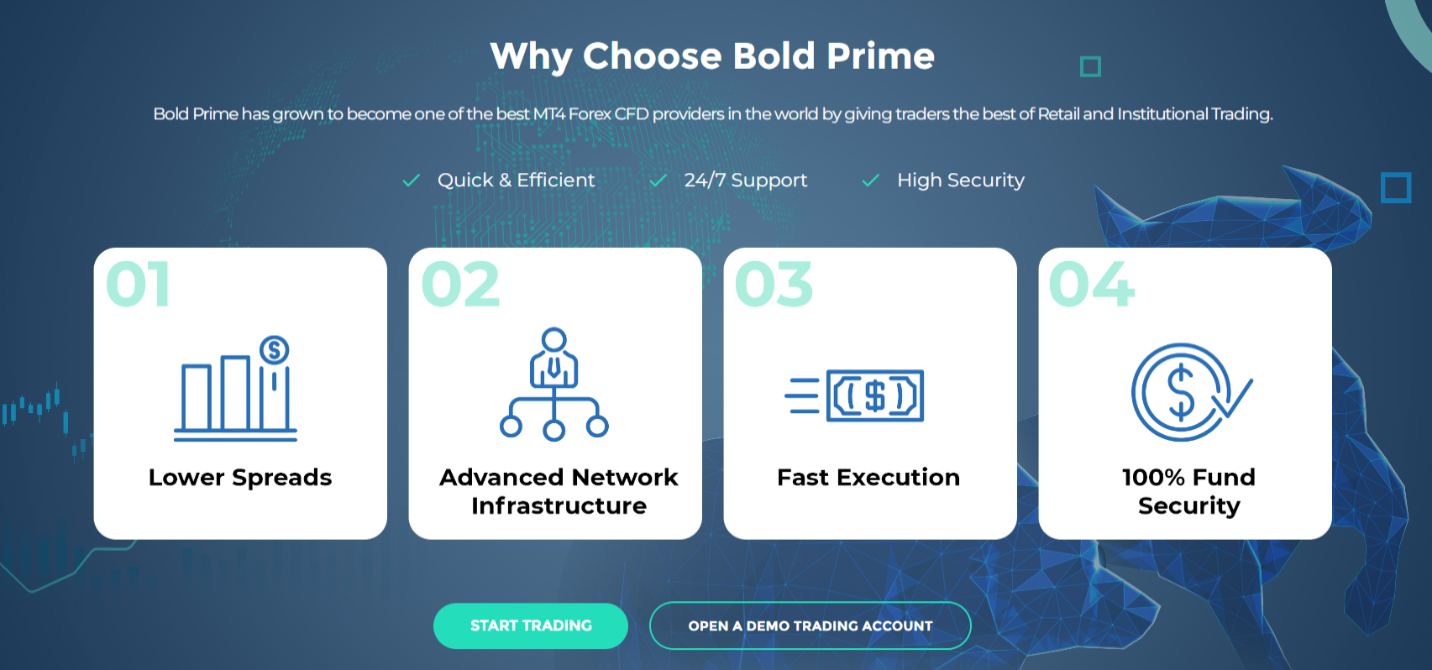 Bold Prime: conditions commerciales